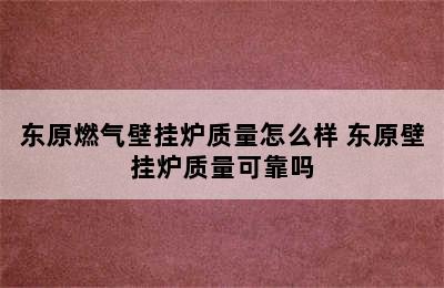 东原燃气壁挂炉质量怎么样 东原壁挂炉质量可靠吗